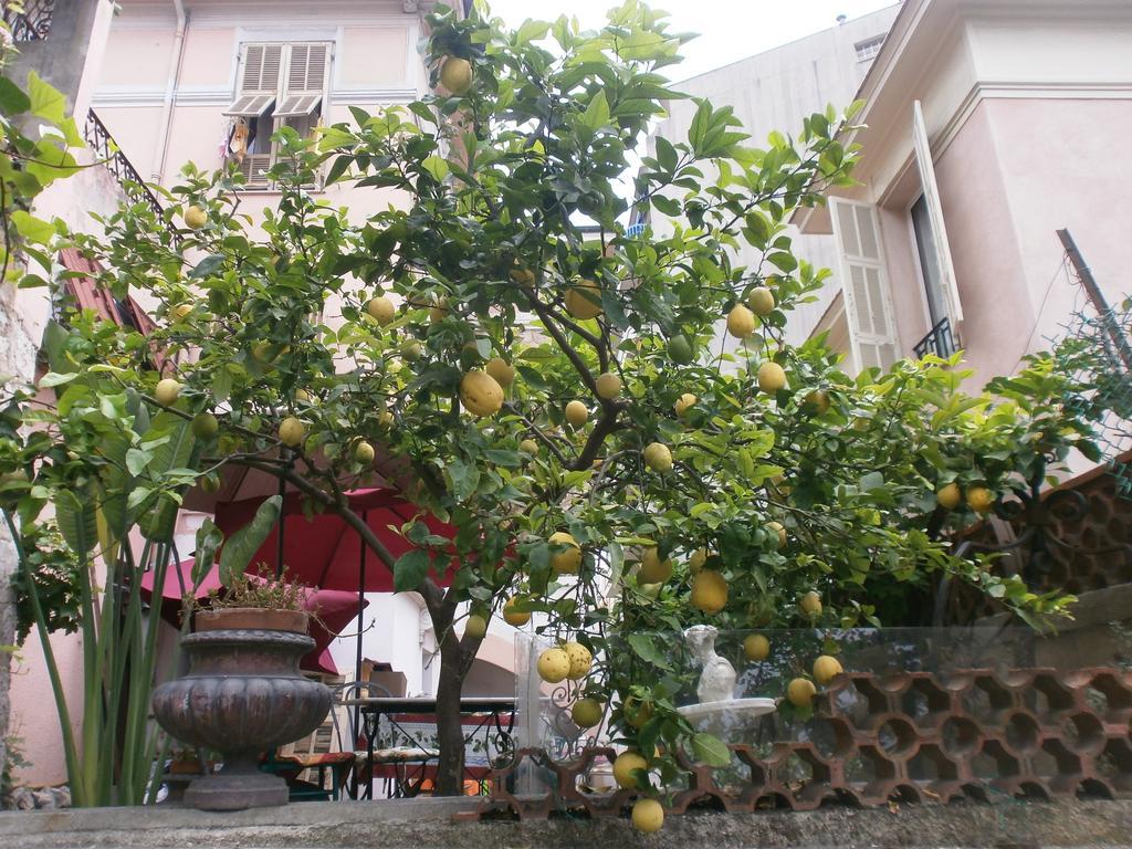 Villa Saphir 니스 외부 사진